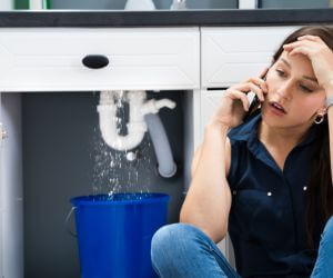 About Emergency plumbing pros Holt, MI